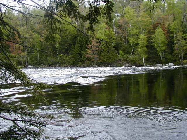 Images/keag river from river trail 2.jpg